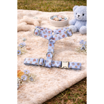 Harnais pour chien et accessoires mignons