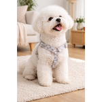 Chien Bichon Frisé avec harnais ours