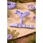 Harnet et accessoires pour chien lavande
