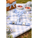 Harnais pour chien sur nappe printanière