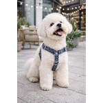 Chien mignon sur un trottoir urbain