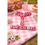 Harnais de chien à cerises en pique-nique