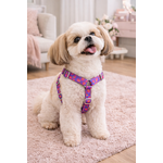 Chien Shih Tzu sur tapis rose