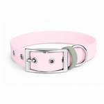 collier pour chien stylidog