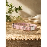 collier pour chien stylidog