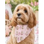 bandana stylidog