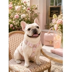 harnais chien stylidog