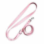 laisse pour cbhien stylidog
