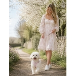 laisse pour chien stylidog