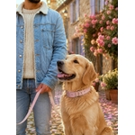 laisse pour chien stylidog