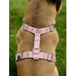 harnais stylidog