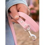 laisse pour chien stylidog