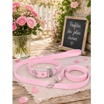 laisse pour chien stylidog