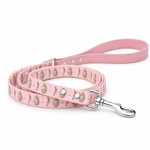 laisse pour chien stylidog