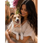 Noeud papillon pour chien stylidog