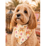 bandana pour chien stylidog
