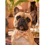 Noeud papillon pour chien stylidog