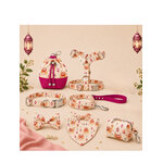 accessoire pour chien