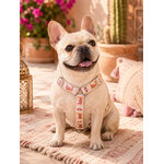 harnais pour chien stylidog
