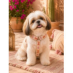 harnais pour chien stylidog