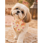 bandana pour chien stylidog