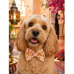 Noeud papillon pour chien stylidog
