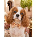 Noeud papillon pour chien stylidog