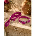 collier chien biothane fuschia stylidog