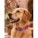 collier chien biothane fuschia stylidog