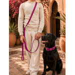 collier chien biothane fuschia stylidog