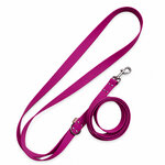 laisse pour chien fucshia stylidog