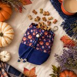 pochette friandises stylidog