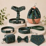 COFFRET BALLADE STYLIDOG