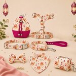 Coffret _20260710_110523_0000
