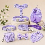 COFFRET BALLADE STYLIDOG