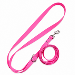 Ensemble stylidog biothane chien