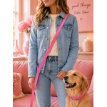 Ensemble stylidog biothane chien