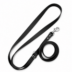 Ensemble stylidog biothane chien
