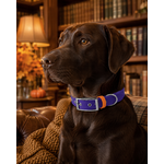 ENSEMBLE BIOTHANE STYLIDOG CHIEN