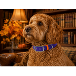 ENSEMBLE BIOTHANE STYLIDOG CHIEN