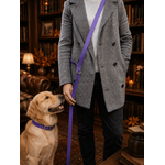 ENSEMBLE BIOTHANE STYLIDOG CHIEN