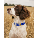 ENSEMBLE BIOTHANE CHIEN STYLIDOG