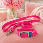 Ensemble stylidog biothane chien