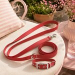 ENSEMBLE BIOTHANE CHIEN STYLIDOG