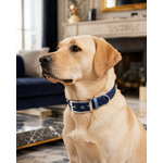 Biothane Stylidog chien