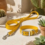 ENSEMBLE BIOTHANESTYLIDOG CHIEN