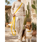 ENSEMBLE BIOTHANESTYLIDOG CHIEN