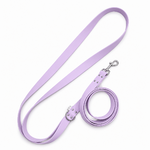 ENSEMBLE BIOTHANE STYLIDOG CHIEN