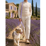 ENSEMBLE BIOTHANE STYLIDOG CHIEN