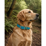 ENSEMBLE BIOTHANE CHIEN STYLIDOG